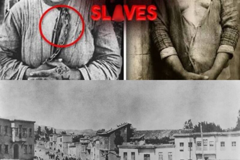 The Unspeakable Things That Happened In The Armenian Genocide