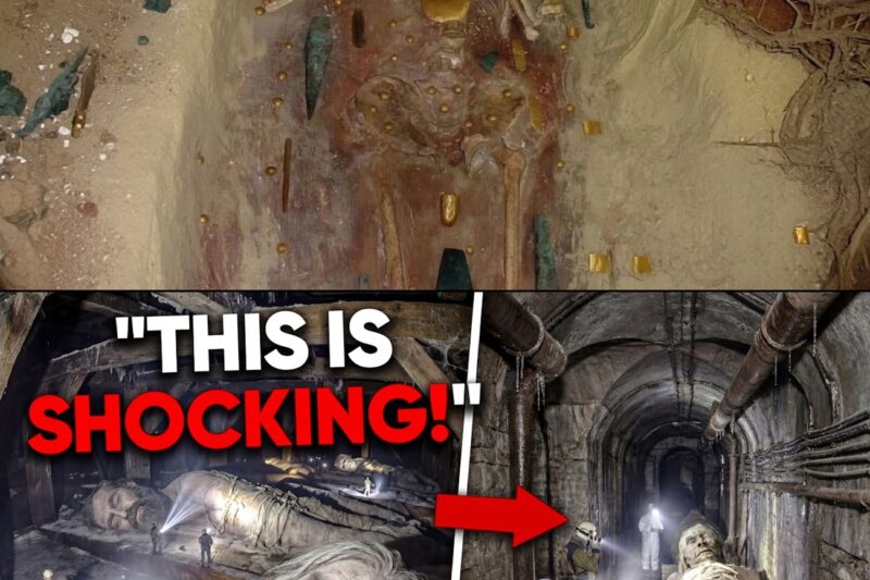 Archaeologists Found a Hidden Corridor In The Great Pyramid — What’s Inside Shocks The Entire World 
